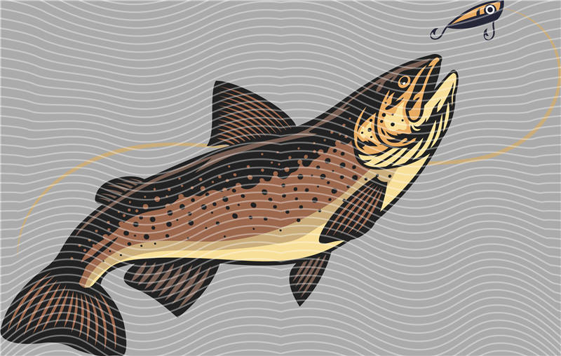 Fishing Series-DY 291